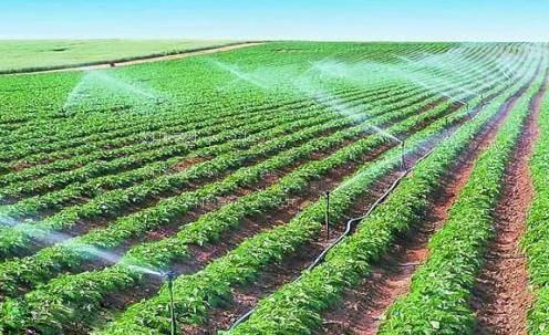 女生交配屁股流水的视频农田高 效节水灌溉